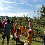 2013_The Royal Oak Farm Orchard