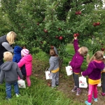 2014_Royal Oak Farm Orchard